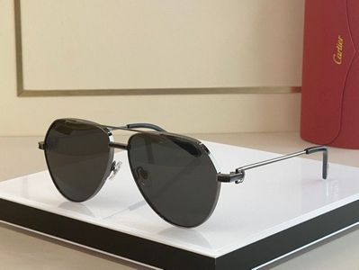 Cartier Sunglasses 748